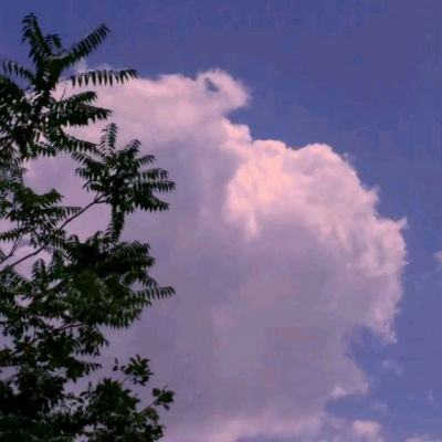 烽火王臣手游下载